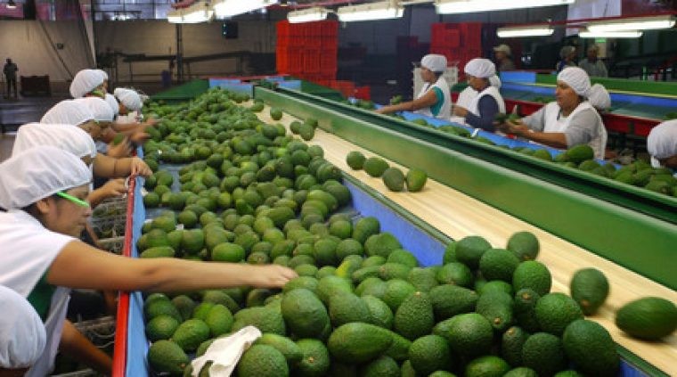Guerra ruso-ucraniana repercute negativamente en envío de productos del agro peruano