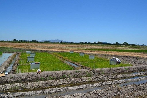 Investigadores de INIA integraron comitiva de científicos que elaboró propuestas para medir la sustentabilidad en la actividad silvoagroalimentaria