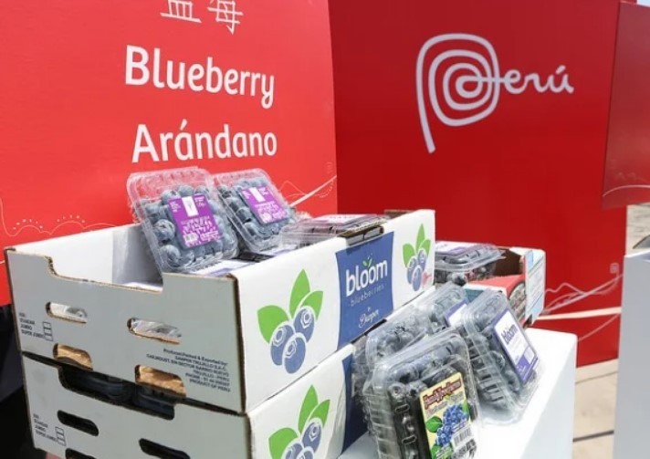 Perú pierde posición en ranking de proveedores de alimentos de Canadá