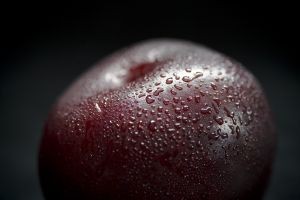 El Systems Approach permite el comercio de ciruelas frescas de Chile