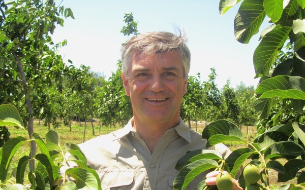 Karl Samsing, CEO de Valbifrut: “Chile ha ido avanzando sostenidamente en el mercado de las nueces partidas mecánicas” “Todos los grandes compradores de Europa tienen a Chile como parte de su campaña de compra del segundo semestre”