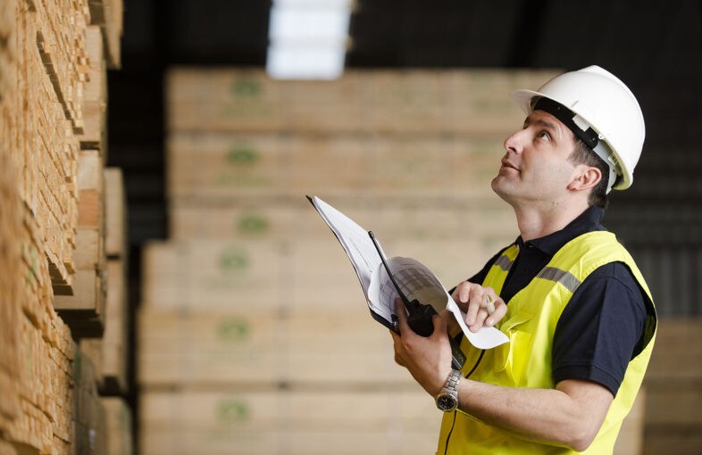 Exportaciones forestales crecen en febrero un 12%