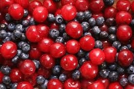 Dificultades logísticas podrían generar efectos desastrosos en los envíos de frutas frescas chilenas