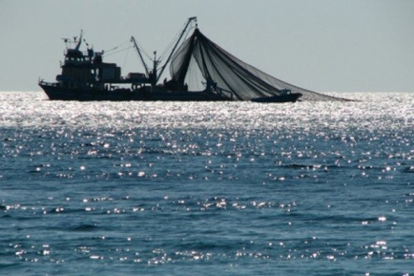 Desembarque pesquero de la Región del Biobío anotó un retroceso de 9,2% en febrero