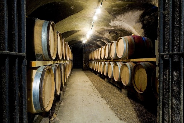 Vendimia 2022: Los desafíos detrás del alza en la demanda de vinos