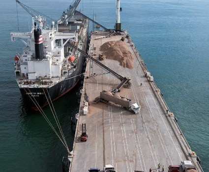 Carga movilizada y manipulada por los puertos de la Región del Biobío aumentó 1,6% en febrero