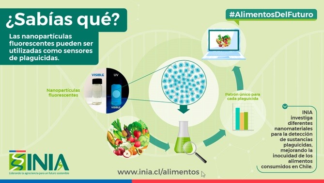 Nanopartículas fluorescentes detectarían plaguicidas para asegurar inocuidad alimentaria