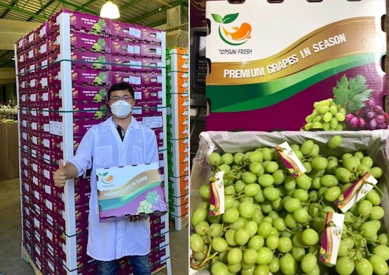 El volumen total de exportación de uva chilena al mercado chino ha disminuido este año