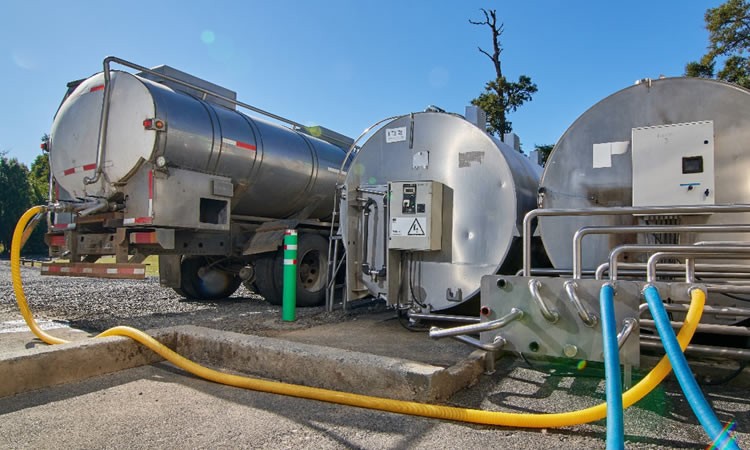 Ranking de recepción de leche cruda por empresa mantiene tendencia a la baja a febrero
