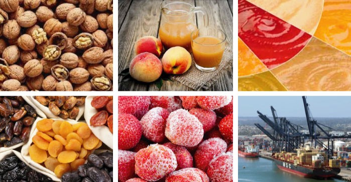 EXPORTACIONES DE FRUTAS Y HORTALIZAS ELABORADAS SUPERAN US$ 347 MILLONES A MARZO 2022