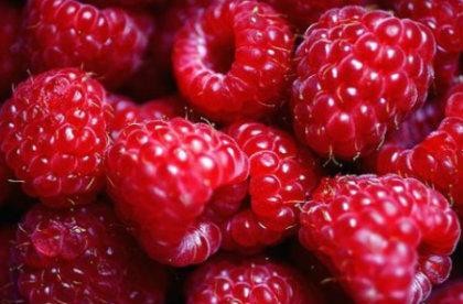Desarrollarán investigación para determinar el impacto del cambio climático en la calidad de la fruta