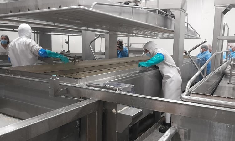 Elaboración láctea cierra febrero con comportamiento mayormente a la baja