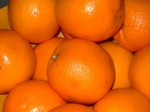 Comienza la temporada de cítricos en Chile