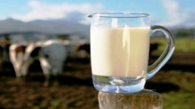 En Chile 5 empresas procesan casi el 90% de la leche