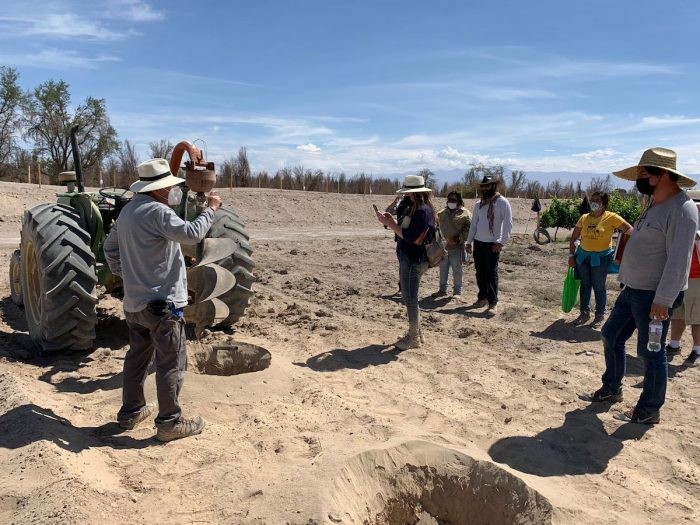 Vino del Desierto: el tesoro productivo de la región de Tarapacá