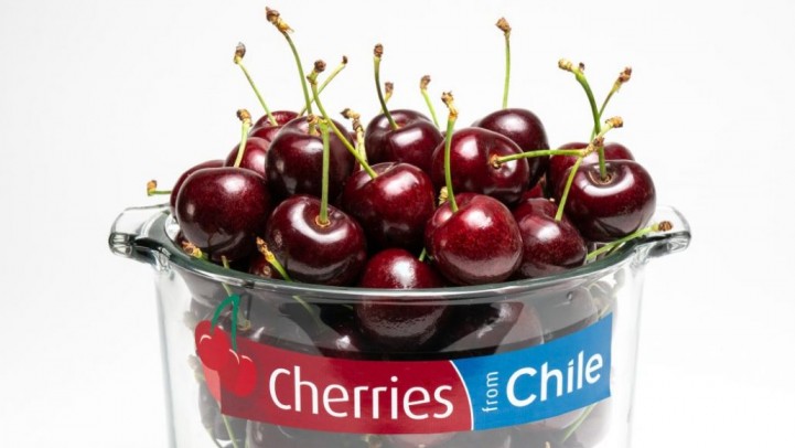 Campaña de cerezas de Chile: estas son las cifras