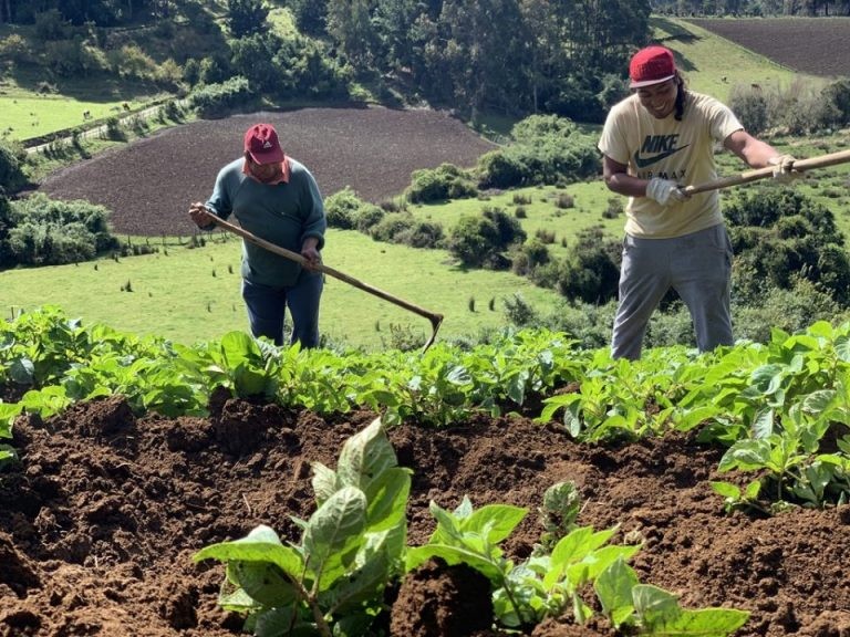 Lanzan Año Agrícola 2022 para impulsar el desarrollo de la agricultura en el país