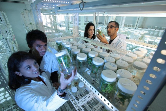 UdeC es actor clave en proyecto que busca generar sistemas de monitoreo del avance en la mitigación del cambio climático