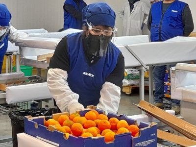 Se inicia funcionamiento de Sitio de Inspección Fitosanitaria de Lo Herrera