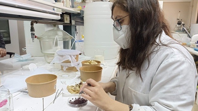 Agronomía UdeC: Expertos buscan desarrollar insecticida natural para control de moscas