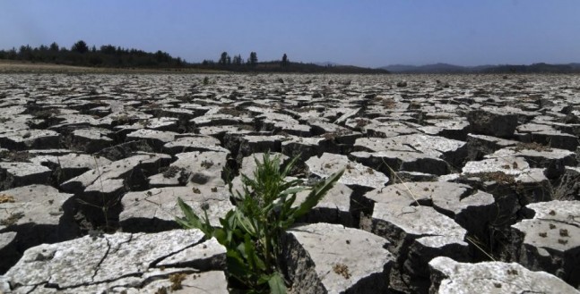 Subsecretario de Agricultura y proyecto de cultivo en el desierto: “Con las plantas adecuadas y energía solar, puede abastecer”