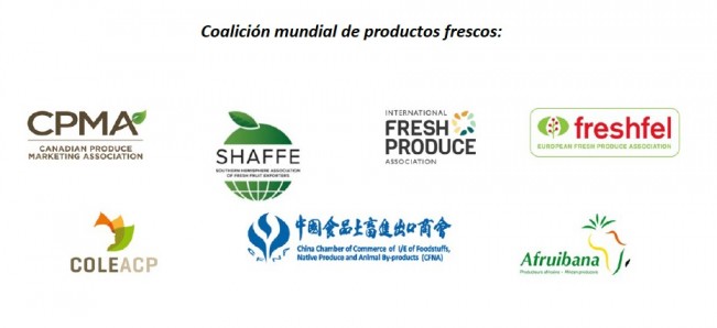 Coalición Global de Productos Frescos pide declarar a las Frutas y Verduras como bienes estratégicos en la actual crisis de costos y cadena de sumistros