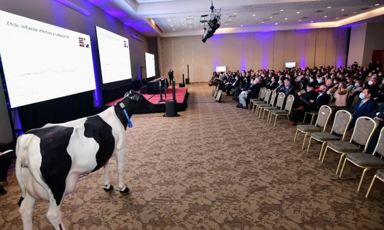 Abren Chilelácteo con críticas al borrador de la nueva Constitución
