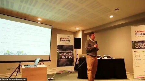 Seminario: Comité de Arándanos de Chile-ASOEX analiza los desafíos para la industria del arándano chileno