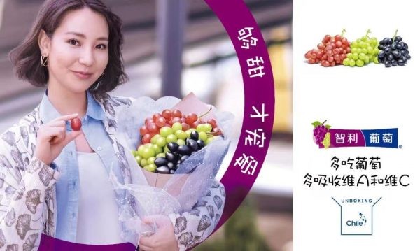 Mayores acciones de promoción marcaron temporada de uva de mesa de Chile en China