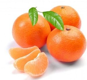 Se iniciaron exportaciones de mandarinas chilenas