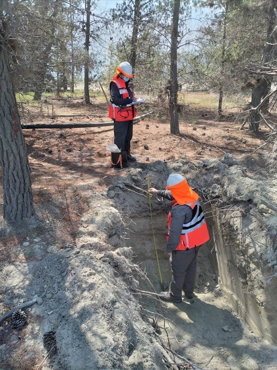 División El Teniente de CODELCO y el Instituto Forestal (INFOR) avanzan en investigación y reproducción de especies nativas