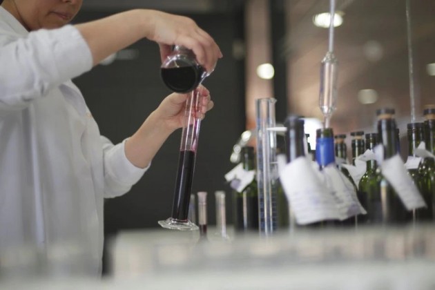 Las nuevas tendencias que modernizan la industria del vino