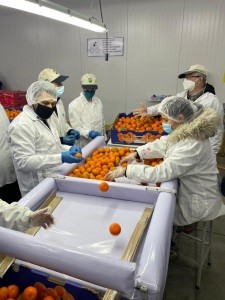 Representante del USDA visitan la región de Coquimbo