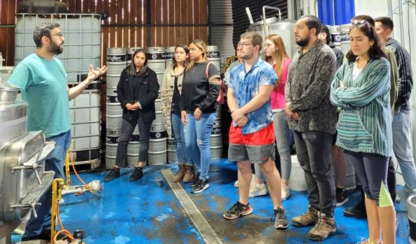 Cerveza artesanal: Más de 100 mil litros al mes y 247 variedades se producen en el mercado local