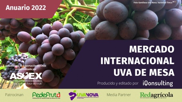 Anuario Uva de Mesa 2022:”Pese a la contingencia, exportaciones de uvas de mesa chilenas tuvieron un 12% de aumento respecto al ejercicio anterior”. Chile continúa siendo principal proveedor del hemisferio sur