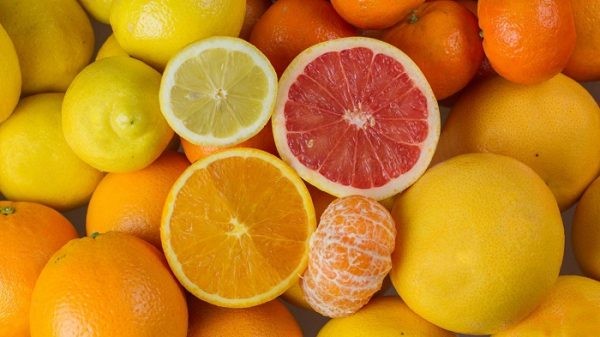 USDA: Producción mundial de cítricos aumenta en todas las categorías