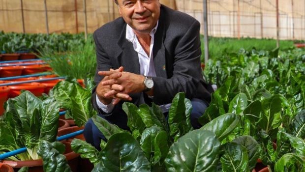 “Hay que tener políticas más robustas de seguridad alimentaria sin autarquía”