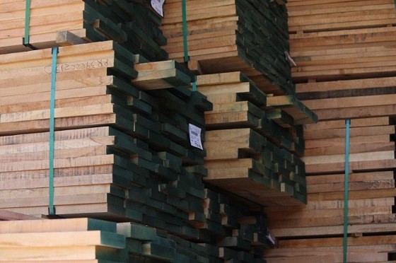 Región de la Araucanía logra crecimiento de 26,6% en sus exportaciones durante junio 2022