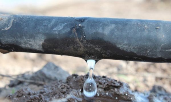 Regantes preocupados por cambios propuestos en la nueva Constitución que afectarían la existencia de las Organizaciones de Usuarios de Agua