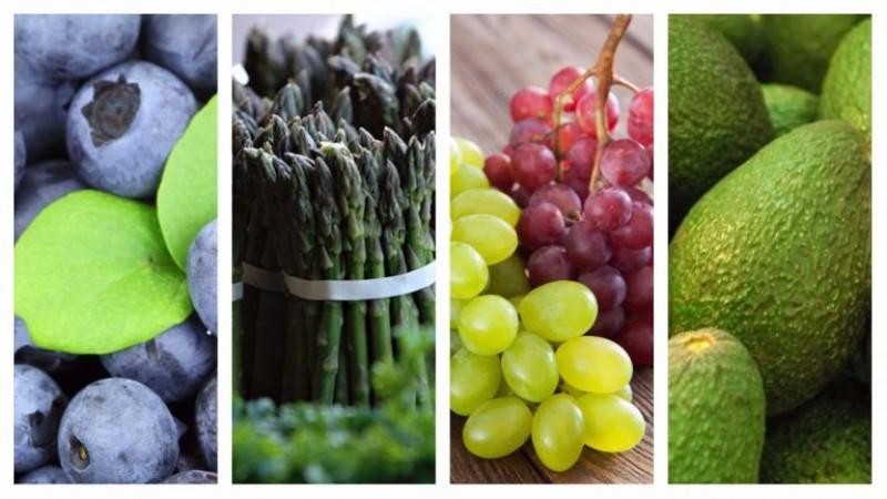 Perú: Balanza comercial agraria logró un superávit de US$ 969.497.000 en el primer semestre del año