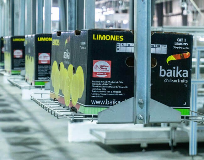 La compañía chilena Baika adquiere la productora y comercializadora de subtropicales malagueña Tropical Millenium