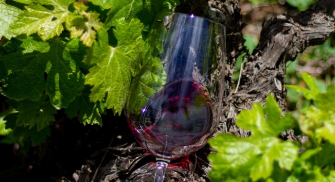 ProChile Ñuble presentará vinos regionales en Polonia