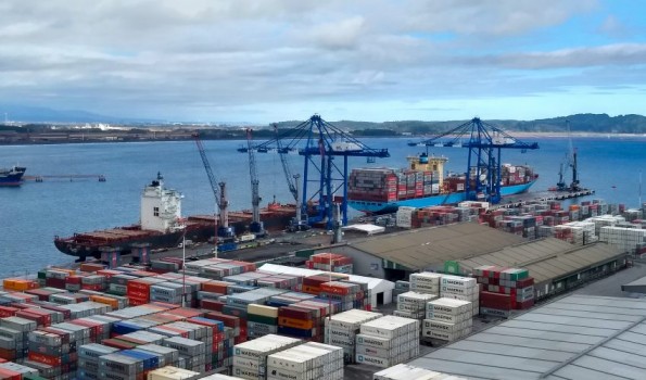 Biobío consolidó sus exportaciones durante el primer semestre: alza llegó a un 75%