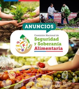 Seguridad alimentaria: Ministerio de Agricultura alista emergencia agrícola para todo el país