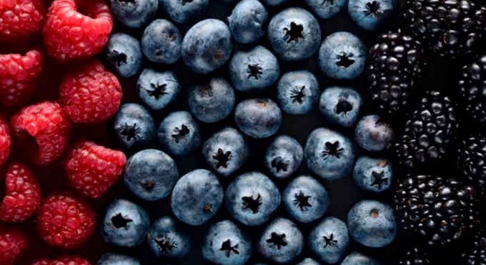 El cambio climático empuja los límites de la producción de berries