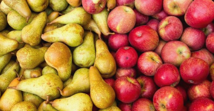 ARGENTINA: MENOS MANZANAS Y PERAS EN RIO NEGRO Y NEUQUÉN