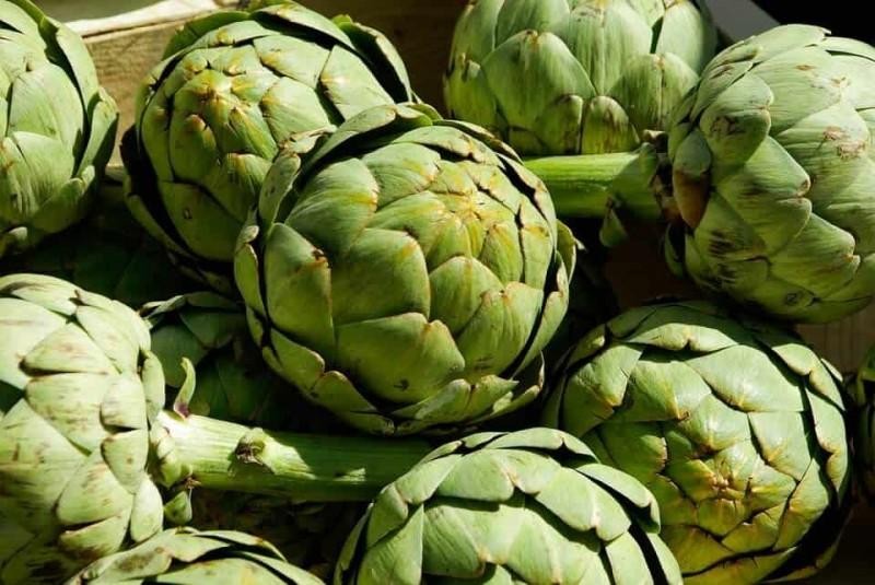 Perú: Envíos de alcachofa procesada sumaron 22.989 toneladas por US$ 59 millones entre enero y agosto de 2022