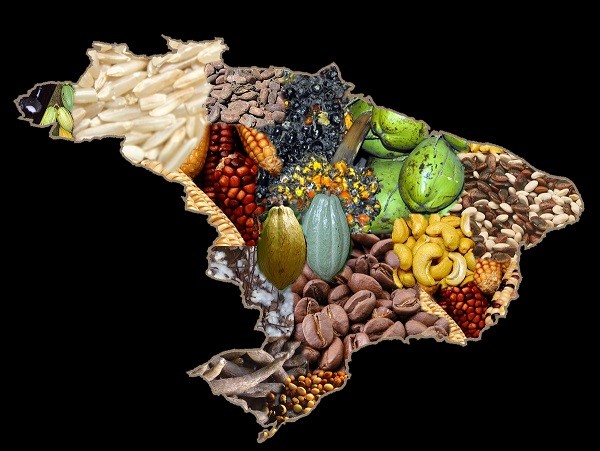 Brasil baja los costos y potencia al campo