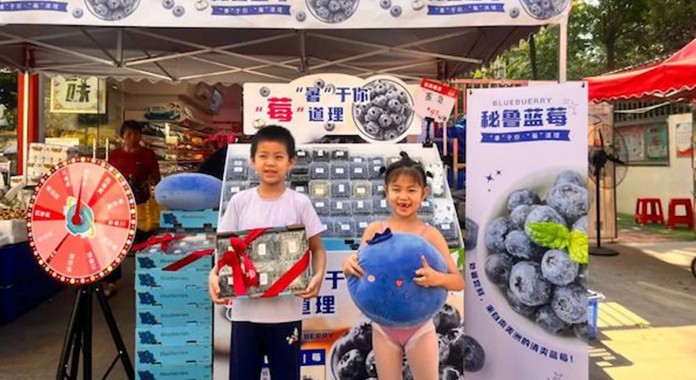 China: Frutacloud y Qdama realizaron en conjunto un nuevo evento sobre arándanos peruanos