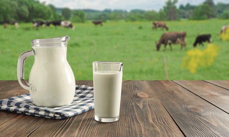 En agosto, el IPC de los productos lácteos muestra un alza para el queso y una caída en postres lácteos y leche en polvo